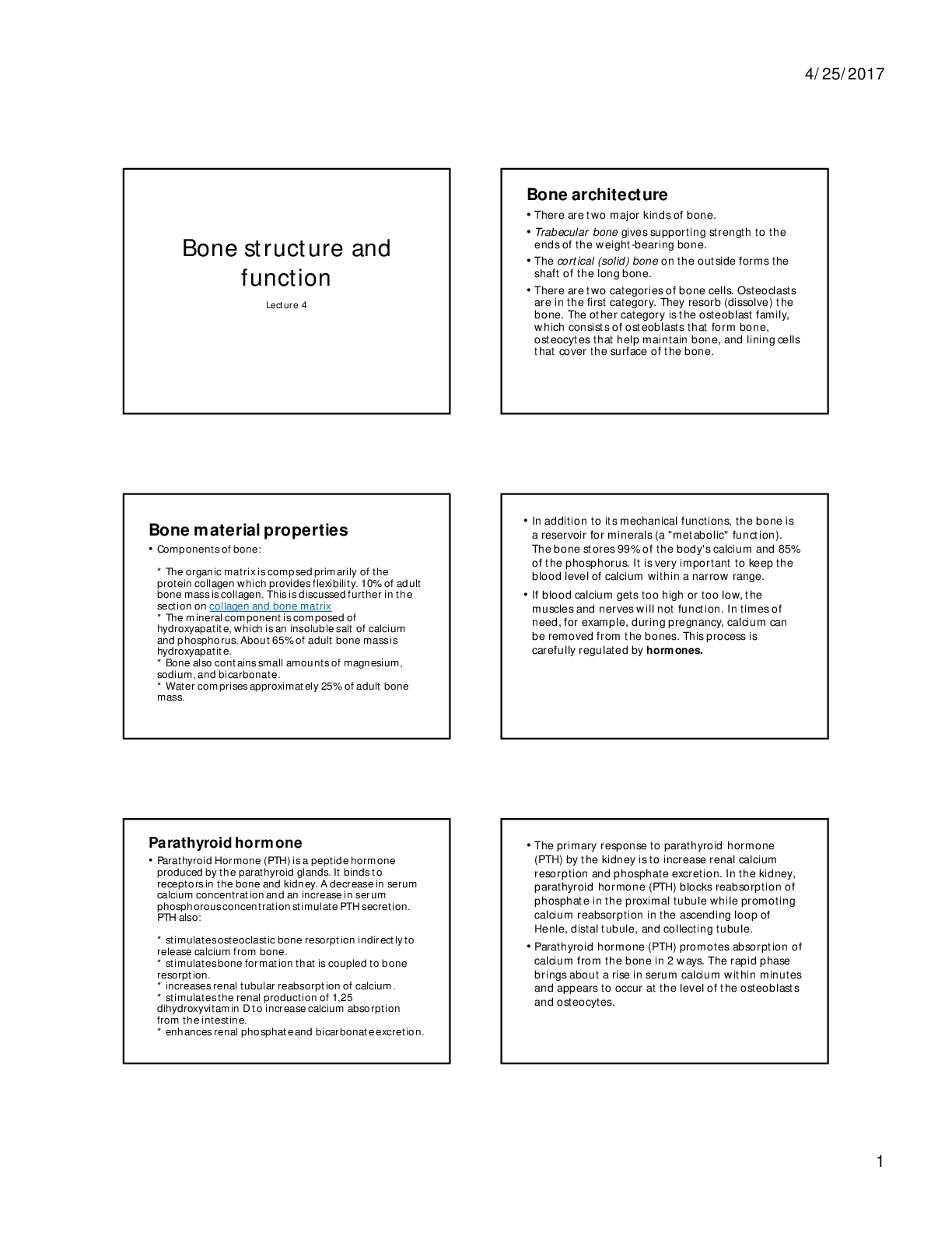Preview image for Bone structure and function
